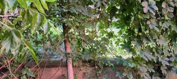 Земельный участок в Вена, Австрия № 131158 19