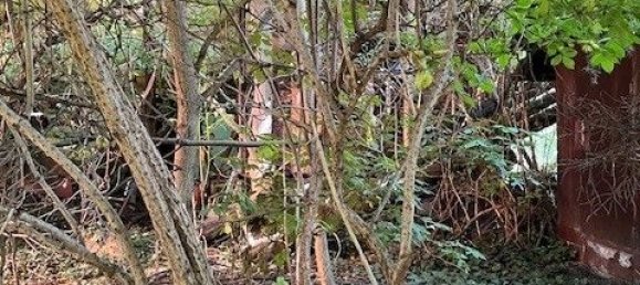 Земельный участок в Вена, Австрия № 131158 20