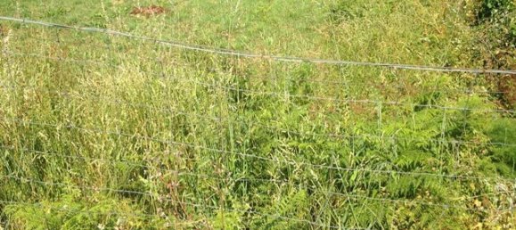  قطعة أرض في Caminha, Portugal 932متر مربع رقم 93773 2