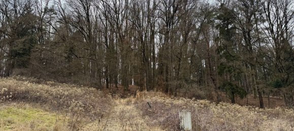 Terreno en Leibnitz, Austria No. 193041 6