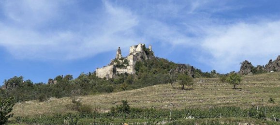 3 rooms Apartment in Durnstein, Austria No. 16555 6