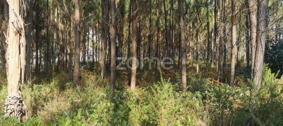 Terrain à Agueda, Portugal 2900m² No. 78827 4