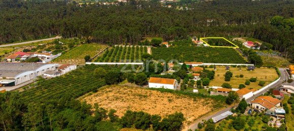 Terrain à Agueda, Portugal 2900m² No. 78827 11