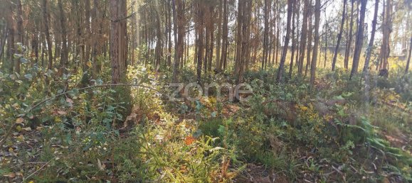 Terrain à Agueda, Portugal 2900m² No. 78827 5