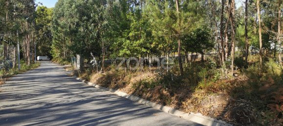 Terrain à Agueda, Portugal 2900m² No. 78827 3