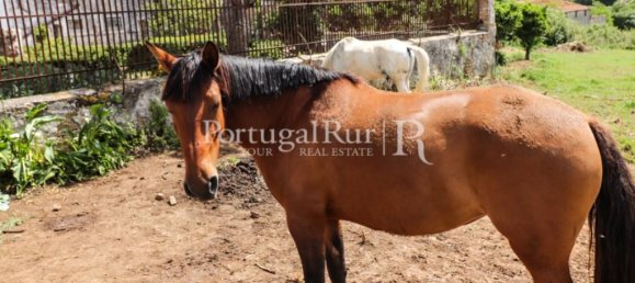 10 غرف نوم قلاع في Vila Franca de Xira, Portugal رقم 134646 34