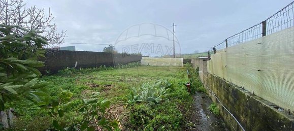 3 Schlafzimmer Haus in Ponta Delgada, Portugal, Nr. 45365 10