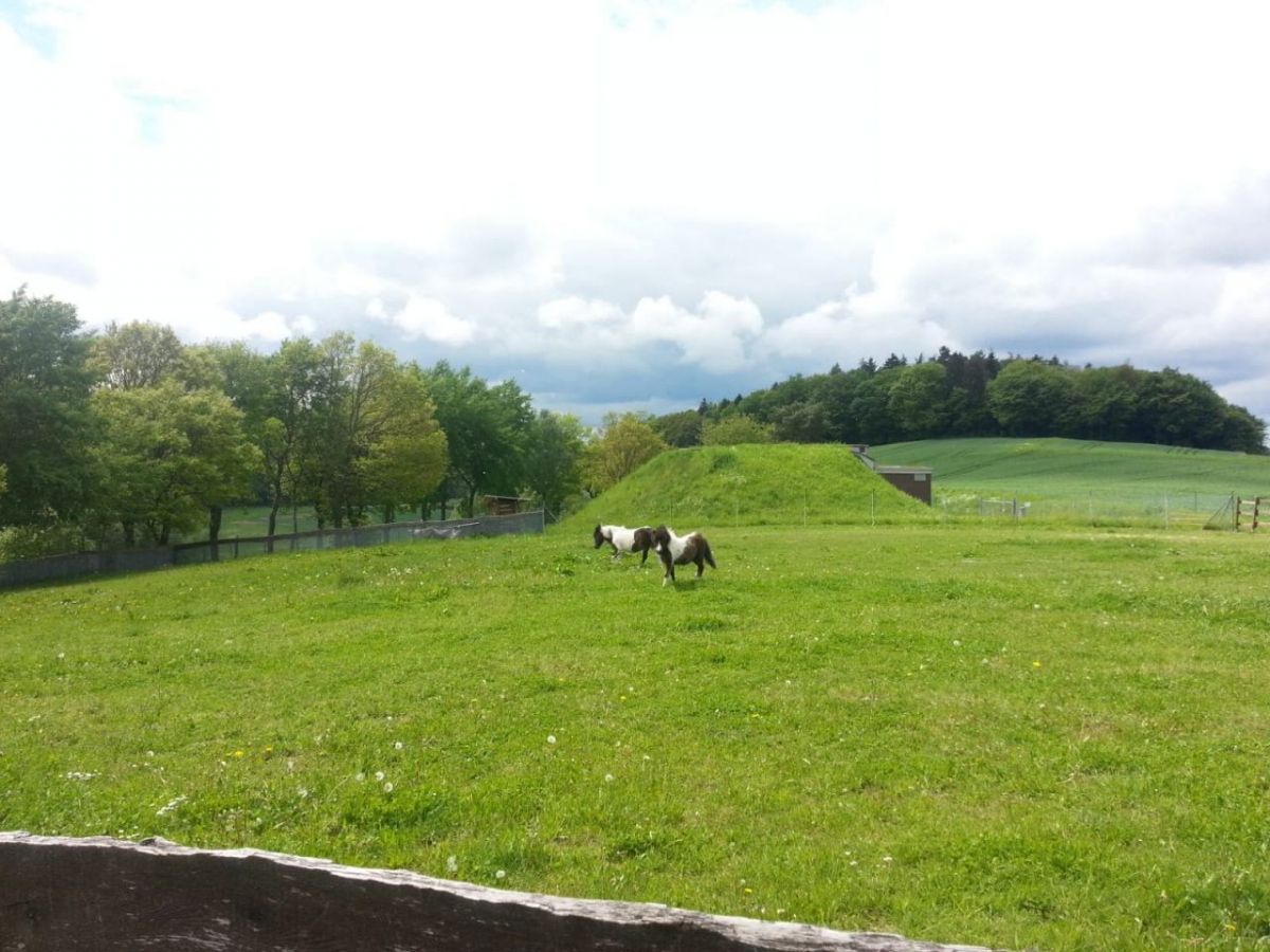1 Schlafzimmer Haus in Hersfeld-Rotenburg, Germany, Nr. 206640