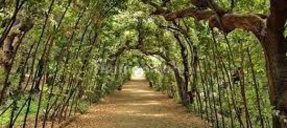 6 bedrooms Villa in Impruneta, Italy No. 192465 24