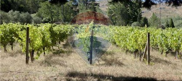 Edifício T9 em Abrunhosa a Velha, Portugal N.º 41367 35