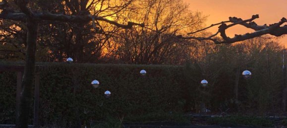 6 chambres Maison à Viersen, Germany No. 140964 47