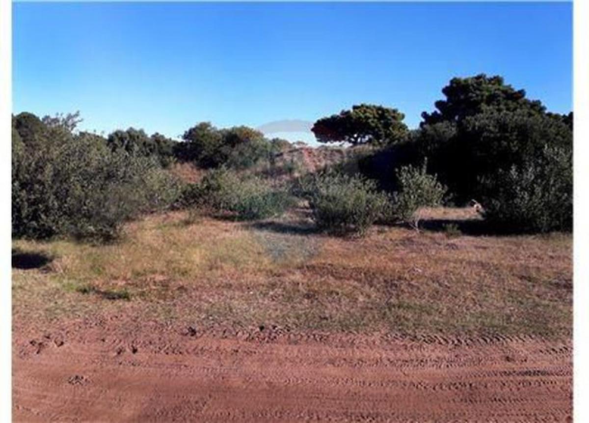  Land in Mar del Plata, Argentina No. 118296