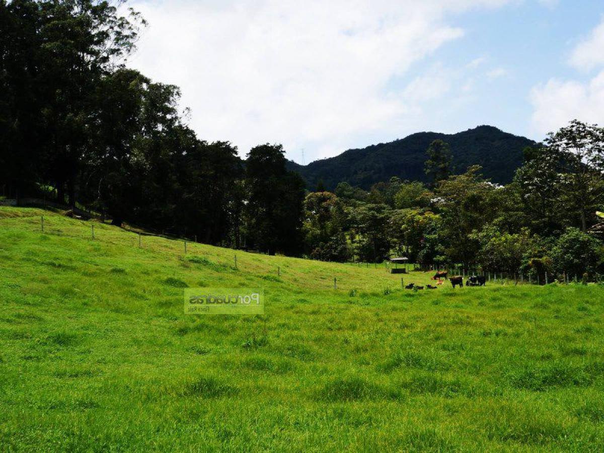  Land in Antioquia, Colombia No. 765