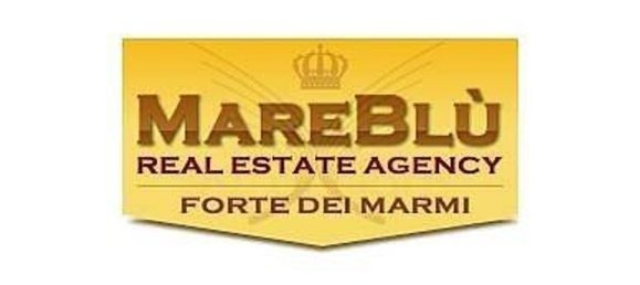 3 bedrooms Villa in Forte dei Marmi, Italy No. 227898 23