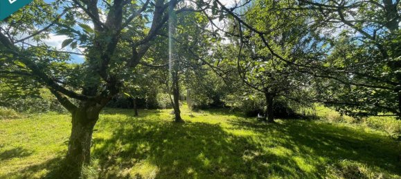 4 Schlafzimmer Haus in Willerwald, France, Nr. 154500 8