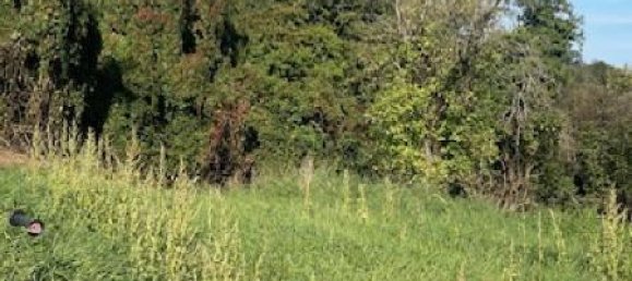 Земельный участок в Буксьер-о-Шен, Франция № 75445 2