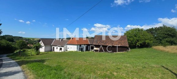 2 bedrooms House in Oberschutzen, Austria No. 133836 5