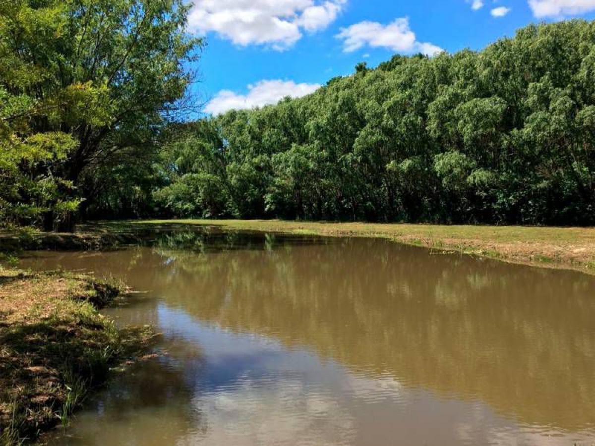  Land in Tigre, Argentina No. 45228