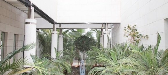 5 bedrooms Villa in Bendinat, Spain No. 16302 15