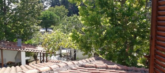 4 غرف نوم فيلا في Chalkidiki, Greece رقم 1061 9