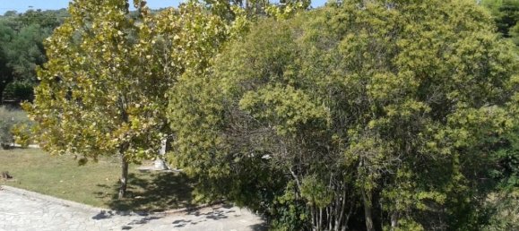 4 غرف نوم فيلا في Chalkidiki, Greece رقم 1061 4