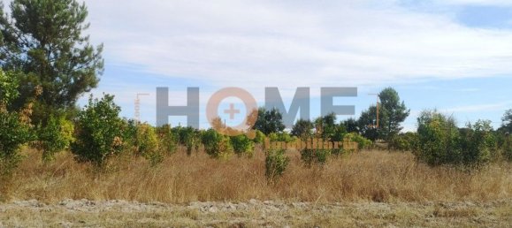 Земельный участок 127250м² в Коруши, Португалия № 63095 2