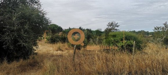 Земельный участок 127250м² в Коруши, Португалия № 63095 3