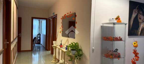 6 rooms Commercial property in Rome, Italy No. 177086 4