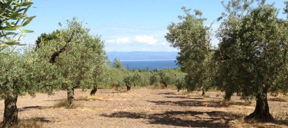 12100m² Hotel in Chalkidiki, Greece No. 8050 2