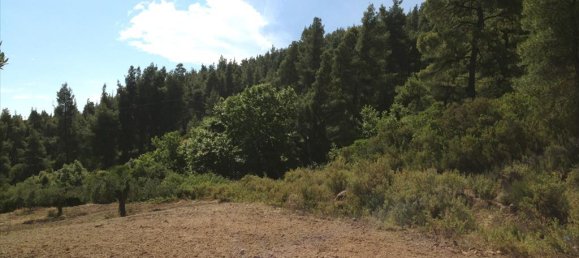 12100m² Hotel in Chalkidiki, Greece No. 8050 4