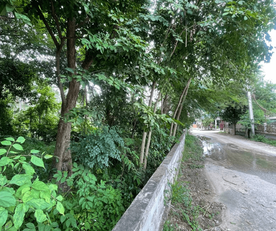 2340m² Commercial property in Bang Lamung, Thailand No. 24606