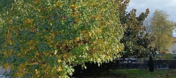 3 bedrooms House in Chauffailles, France No. 202839 4