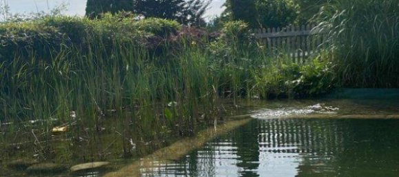 7 rooms Villa in Klagenfurt am Worthersee, Austria No. 255379 13