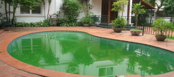 5 chambres Villa à Tay Ho, Vietnam No. 3210 2