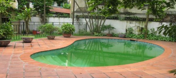 5 chambres Villa à Tay Ho, Vietnam No. 3210 3