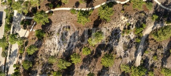 3722m² Land in Grandola, Portugal No. 117842 16