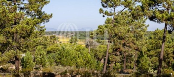 3722m² Land in Grandola, Portugal No. 117842 20