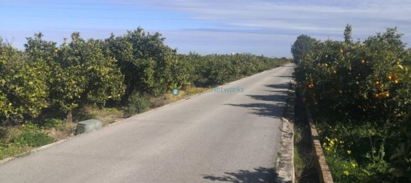 6 Schlafzimmer Haus in Bellreguard, Spain, Nr. 184693 28