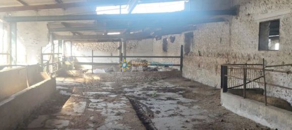 6 Schlafzimmer Haus in Bellreguard, Spain, Nr. 184693 23