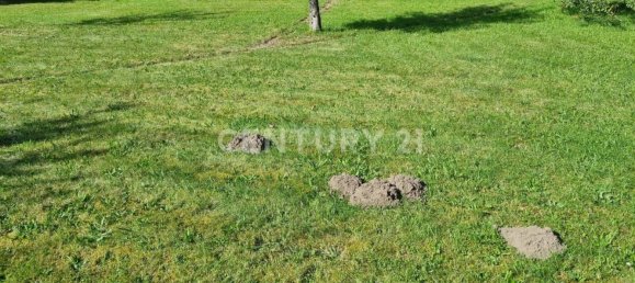 2 chambres Maison à Bautzen, Germany No. 130438 20