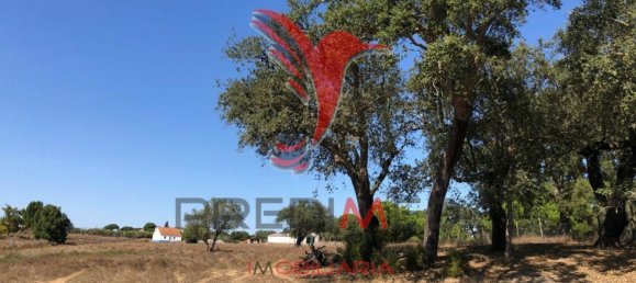 69650m² Land in Grandola, Portugal No. 76168 18