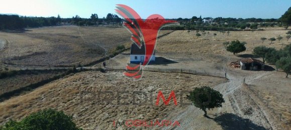 69650m² Land in Grandola, Portugal No. 76168 5