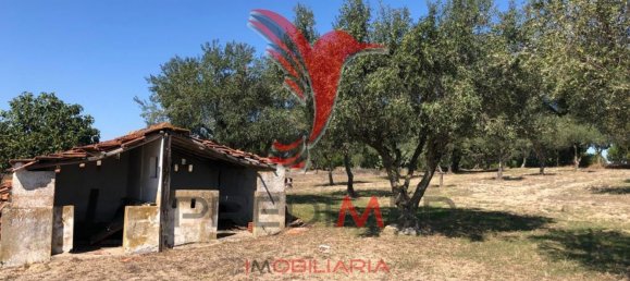 69650m² Land in Grandola, Portugal No. 76168 11