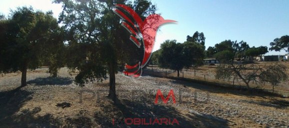 69650m² Land in Grandola, Portugal No. 76168 2