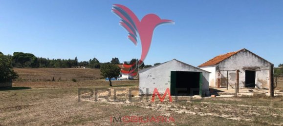69650m² Land in Grandola, Portugal No. 76168 16