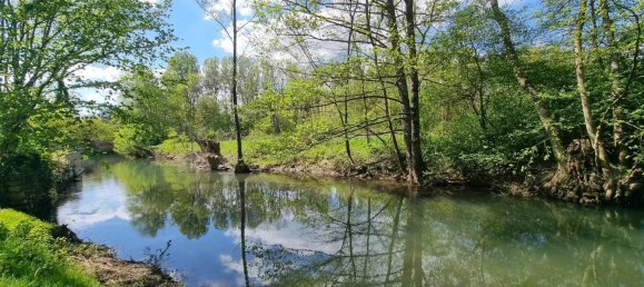 4 bedrooms House in Gy-les-Nonains, France No. 75990 2