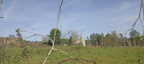 5 bedrooms House in Sao Pedro do Sul, Portugal No. 74044 6