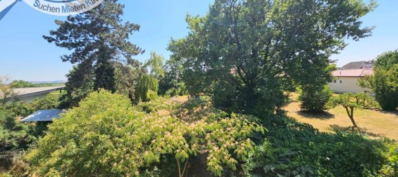 5 bedrooms Villa in Laa an der Thaya, Austria No. 153533 17