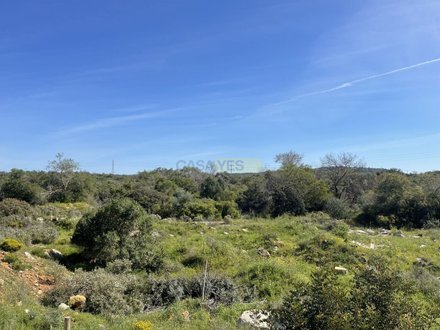 28680m² Land in Loule, Portugal No. 69544