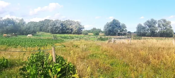 5 bedrooms Farm in Oberhavel, Germany No. 284693 15